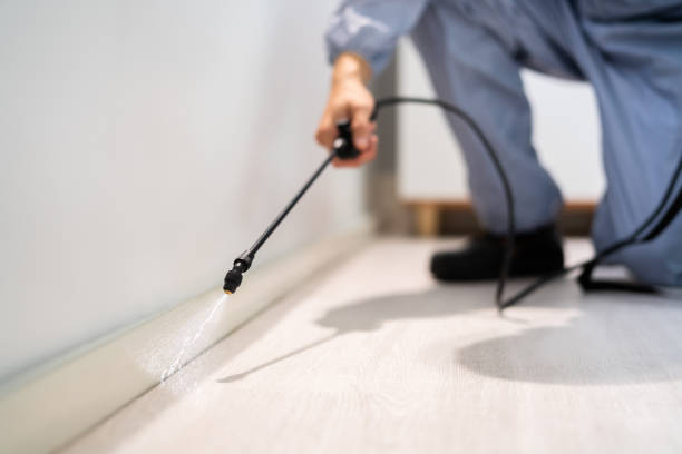 Licensed Pest Control service in Farmington, MS - Show Me Pest Control