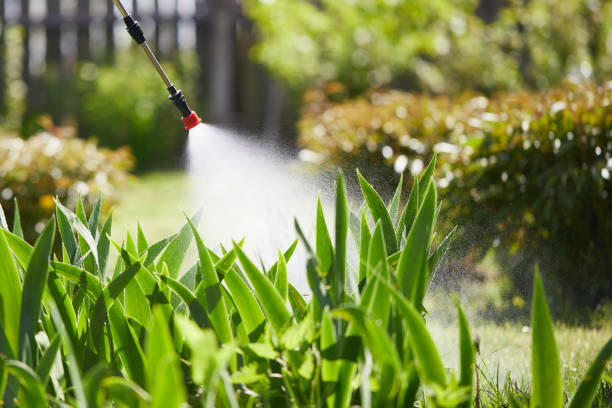 24/7 Emergency Ant Control experts in Farmington, MS